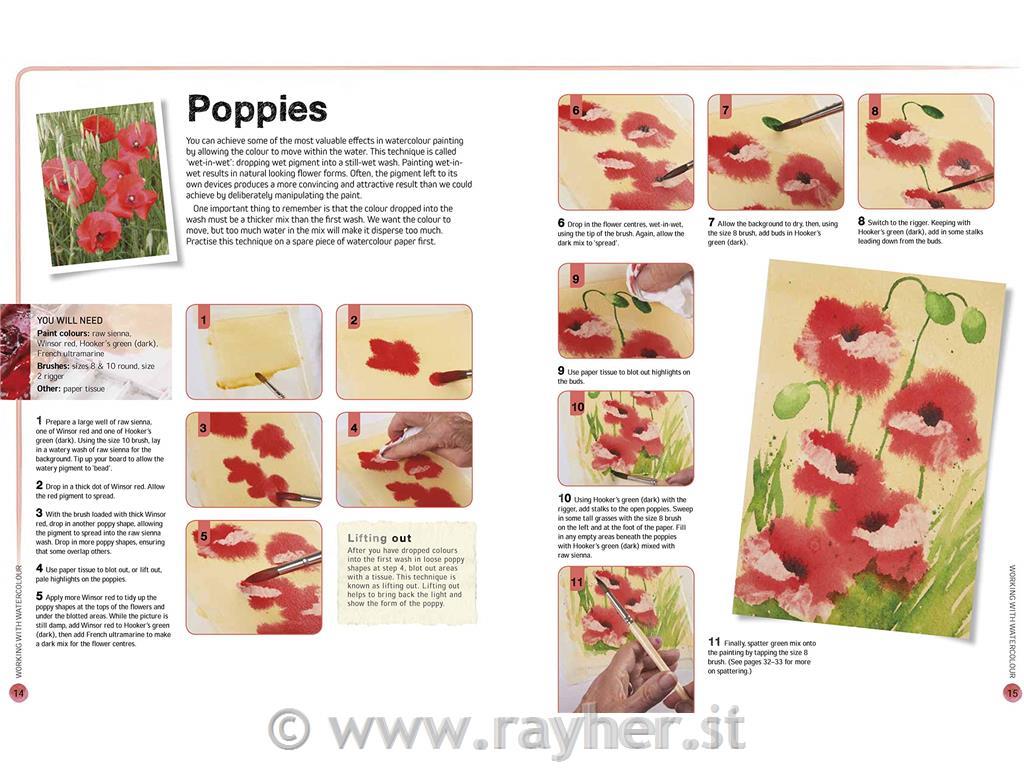 LIBRO FLOWERS IN WATERCOLOUR