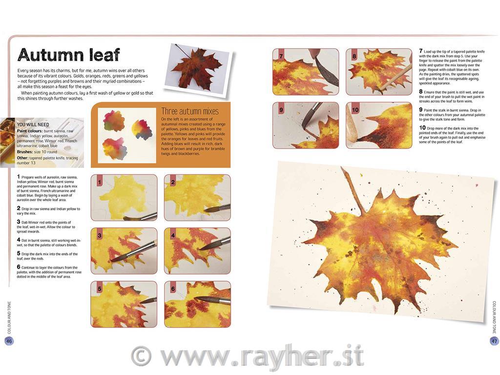 LIBRO FLOWERS IN WATERCOLOUR