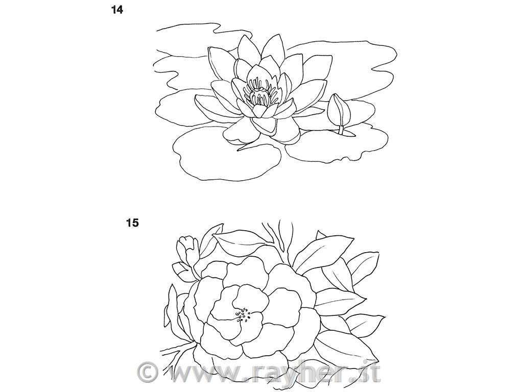 LIBRO FLOWERS IN WATERCOLOUR