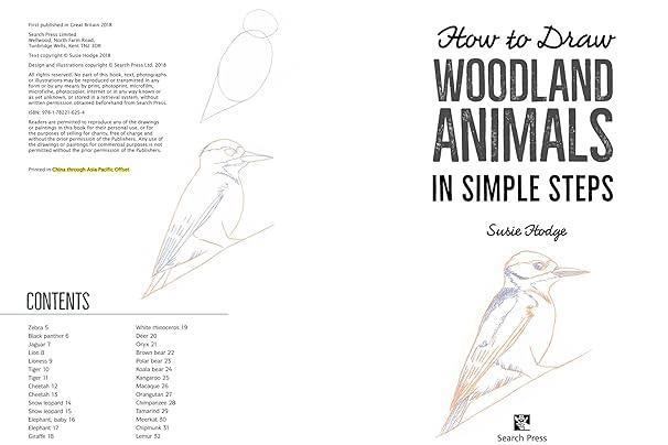 Libro How to Draw: Woodland Animals