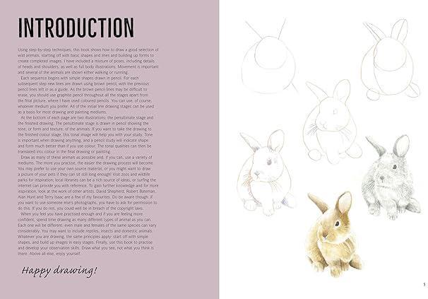 Libro How to Draw: Woodland Animals