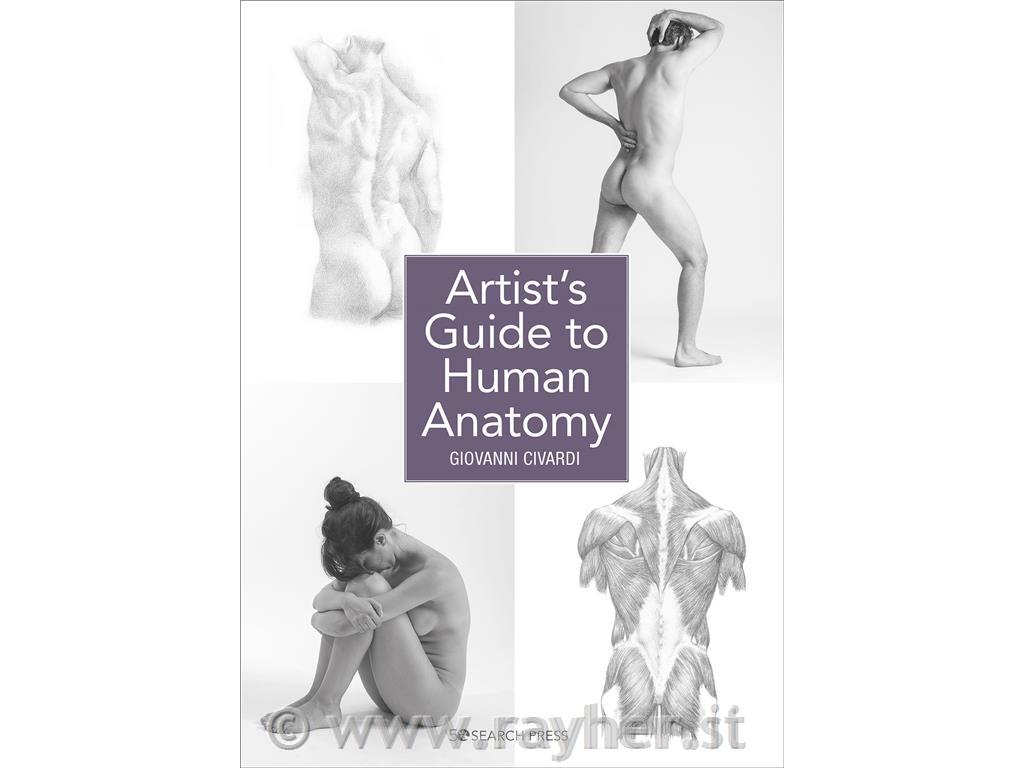 BOOK ARTISTS GUIDE TO HUMAN ANATOMY