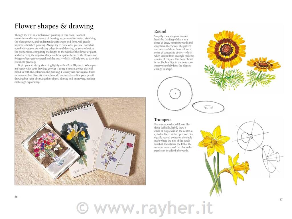 Knjiga Acrylic Painting Step by step