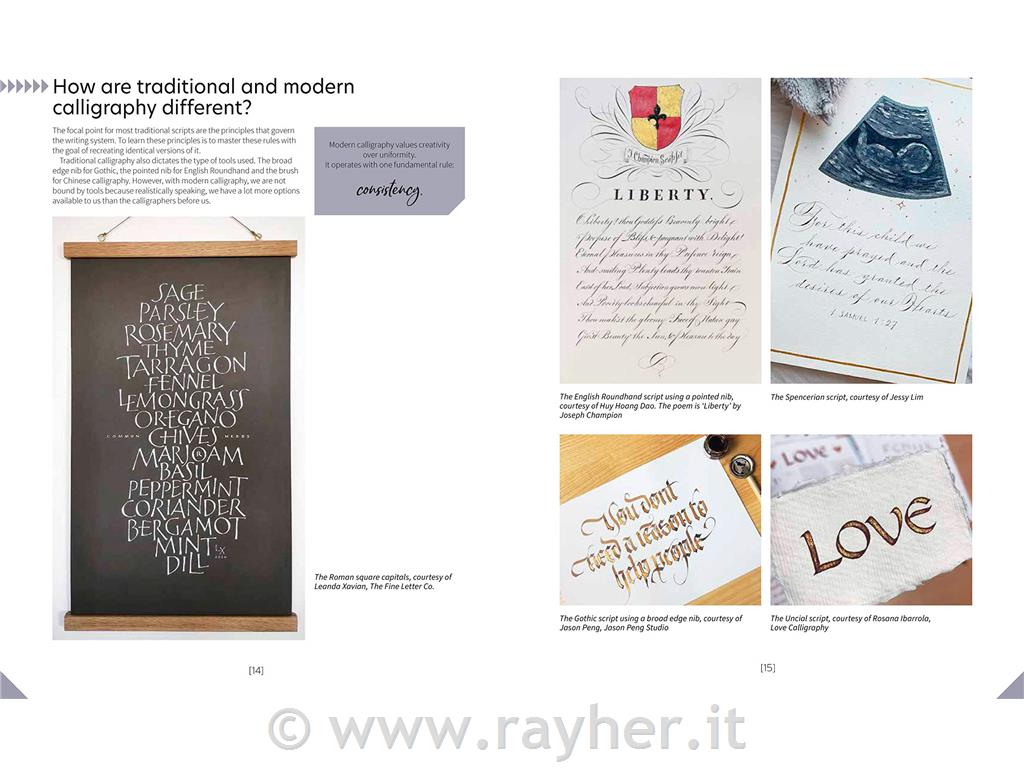 Libro The Joy of Modern Calligraphy