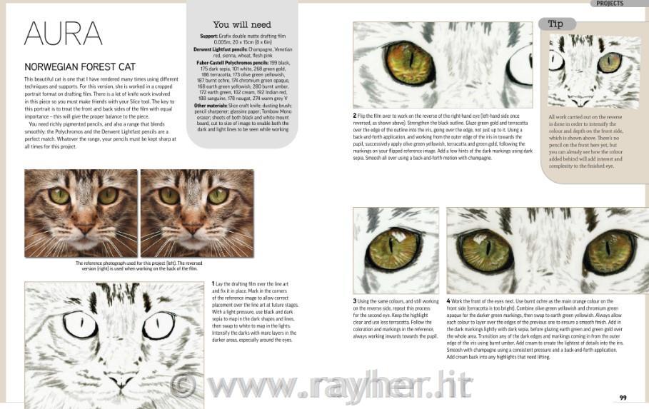 Knjiga Drawing Animal Portraits in Coloured Pencil