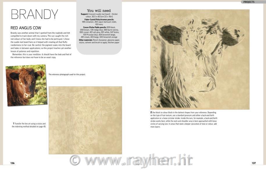 Knjiga Drawing Animal Portraits in Coloured Pencil