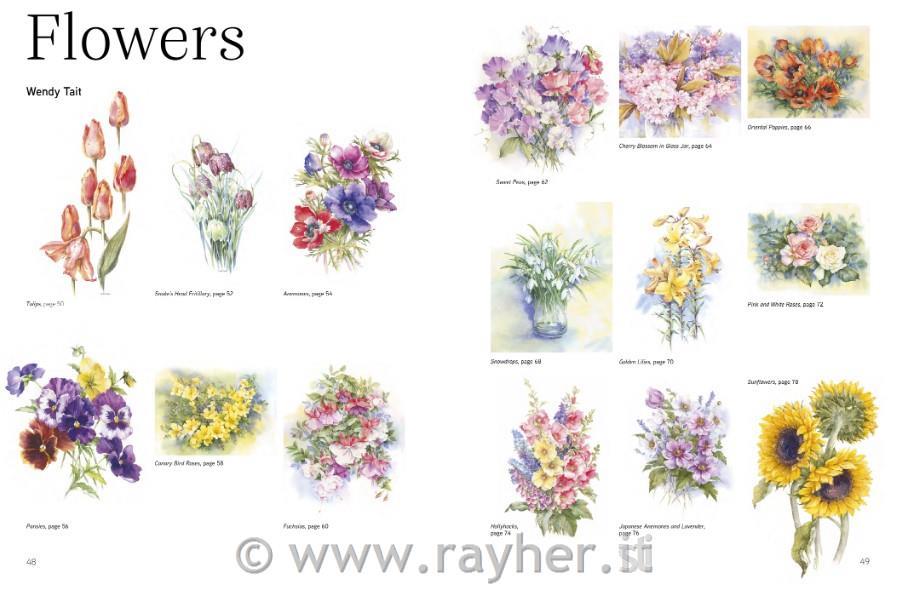 Libro The Watercolour Sourcebook