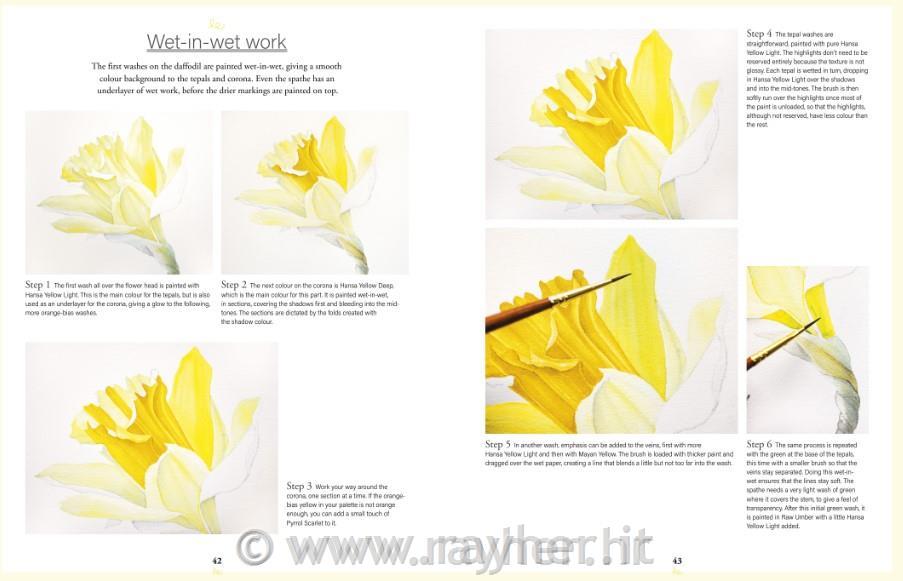 Libro Botanical Watercolours