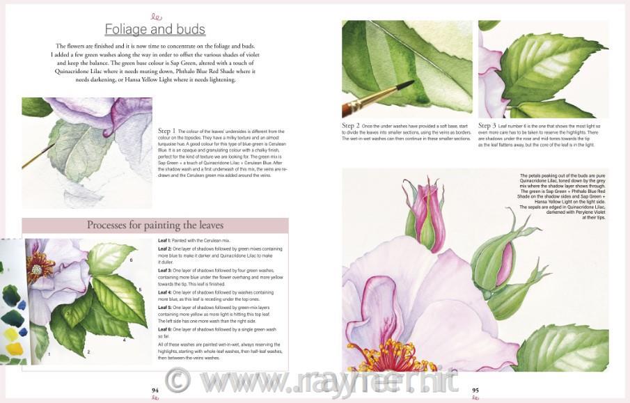 Libro Botanical Watercolours