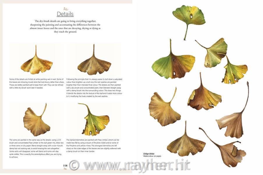 Libro Botanical Watercolours