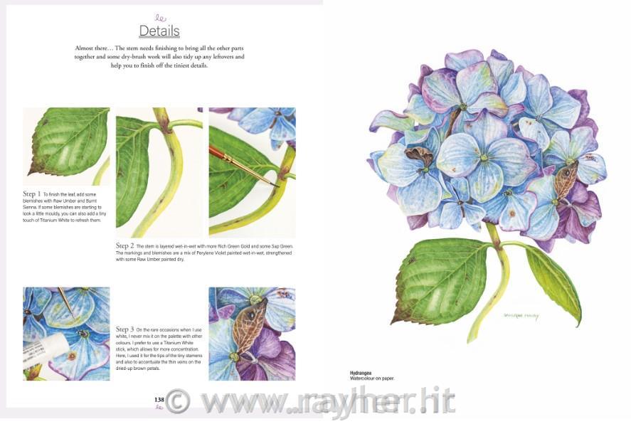 Libro Botanical Watercolours
