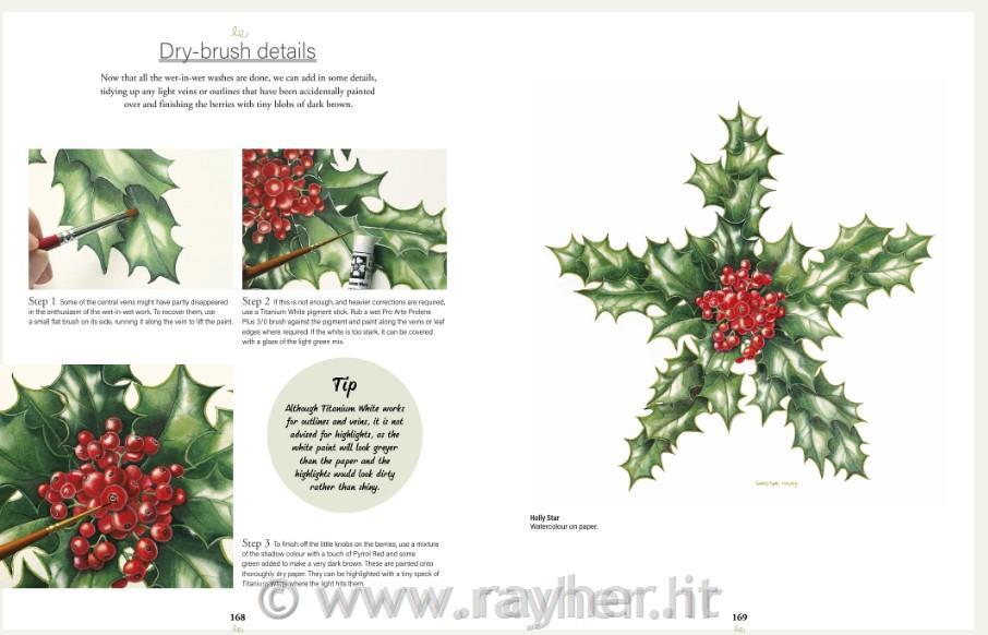 Libro Botanical Watercolours