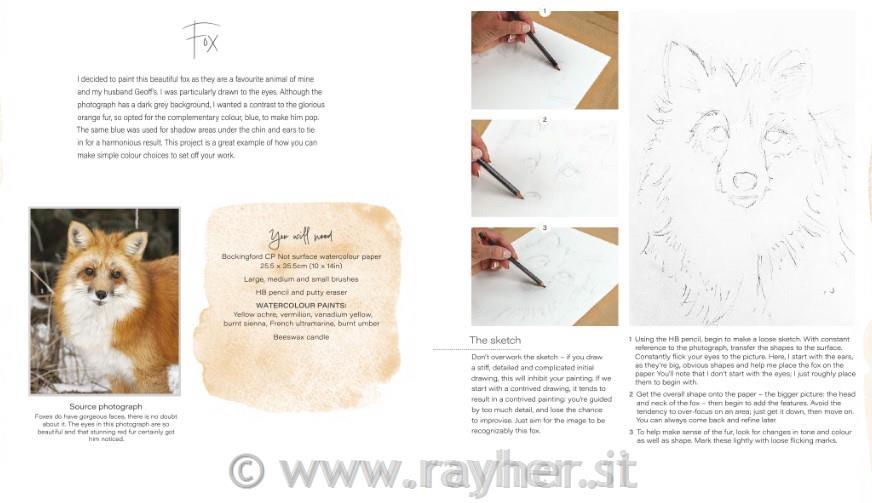 Book Loose and Lively Animals