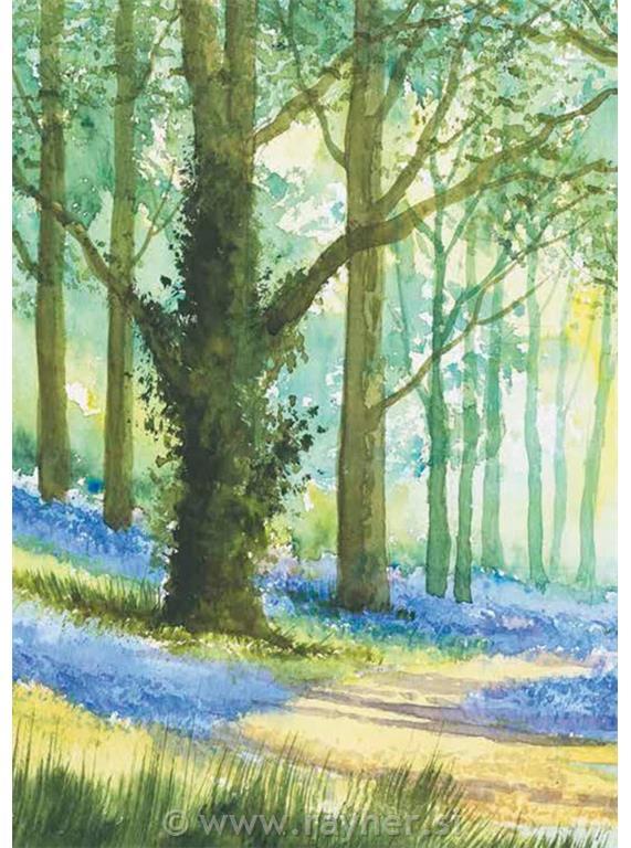 Libro Ready to Paint with Terry Harrison