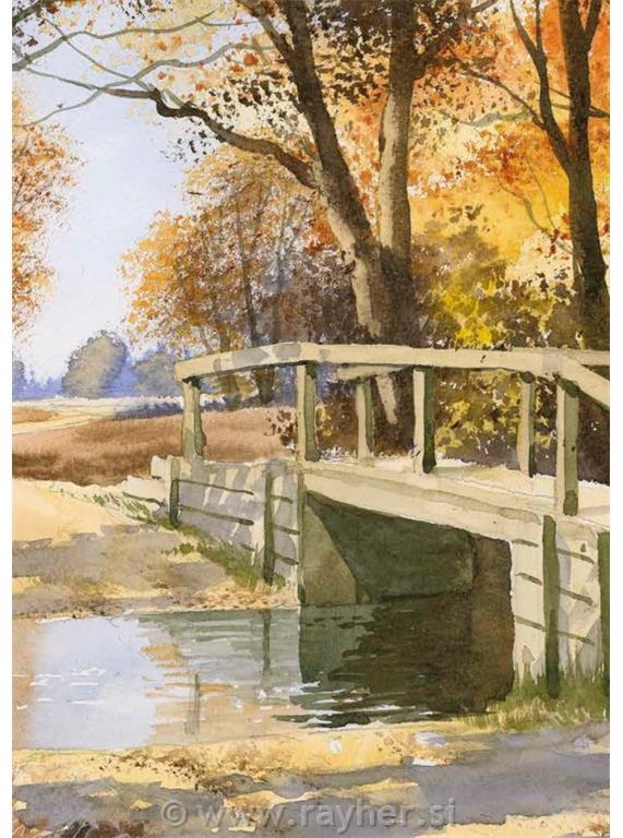 Libro Ready to Paint with Terry Harrison