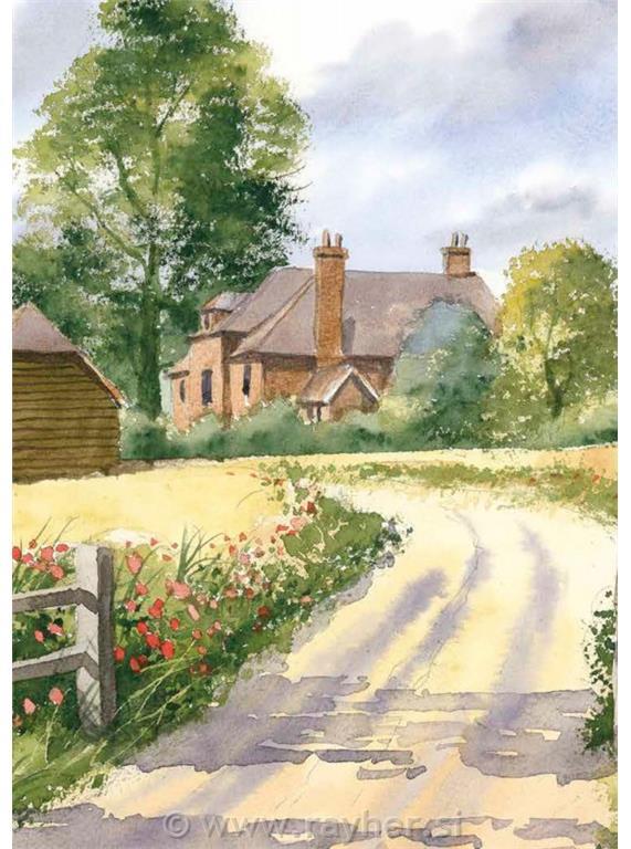 Libro Ready to Paint with Terry Harrison