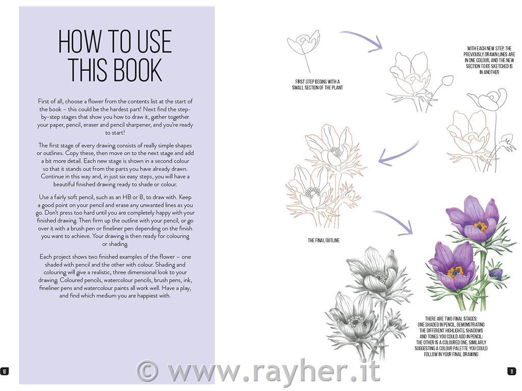 Book Draw 100 Flowers
