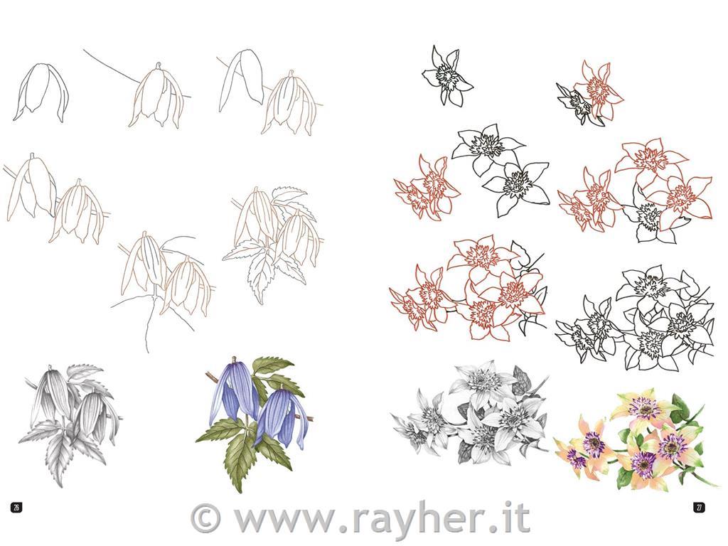 Book Draw 100 Flowers