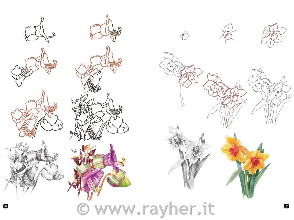 Book Draw 100 Flowers