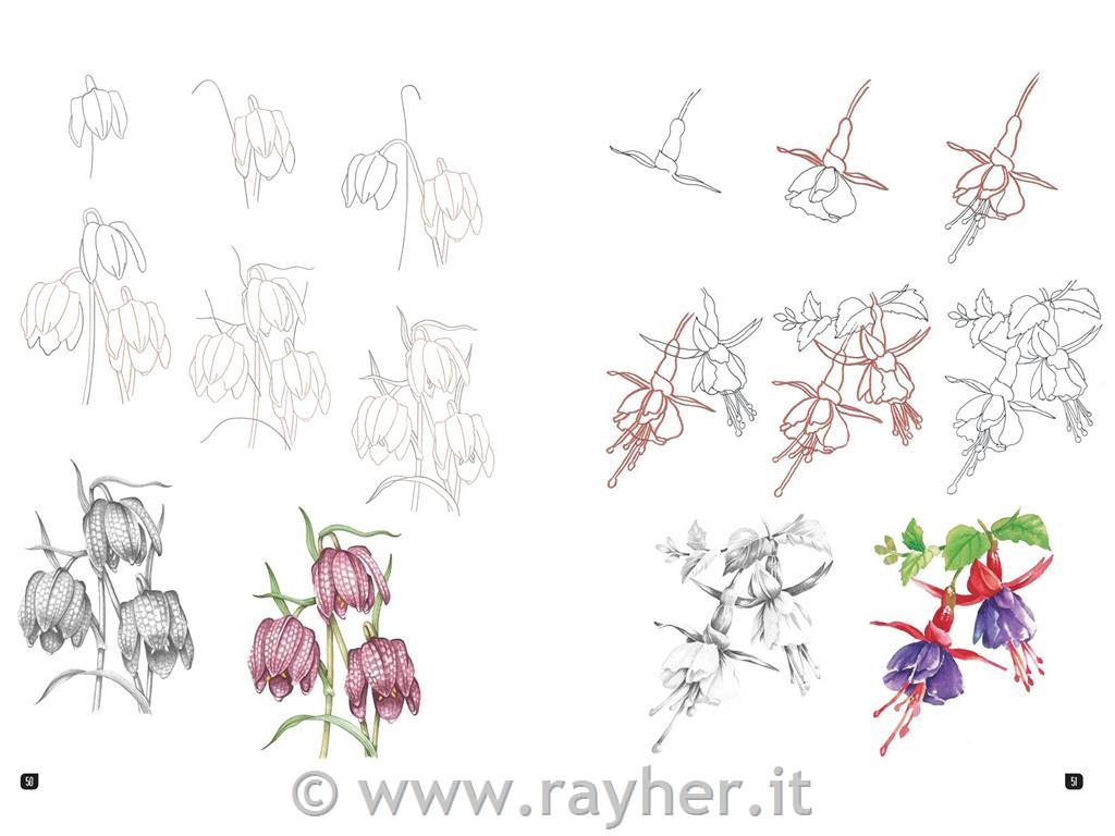 Book Draw 100 Flowers