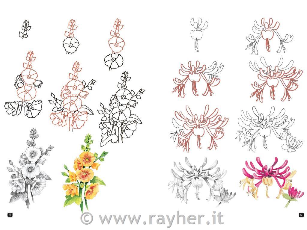 Book Draw 100 Flowers