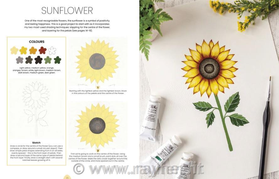 Book Simply Paint Flowers