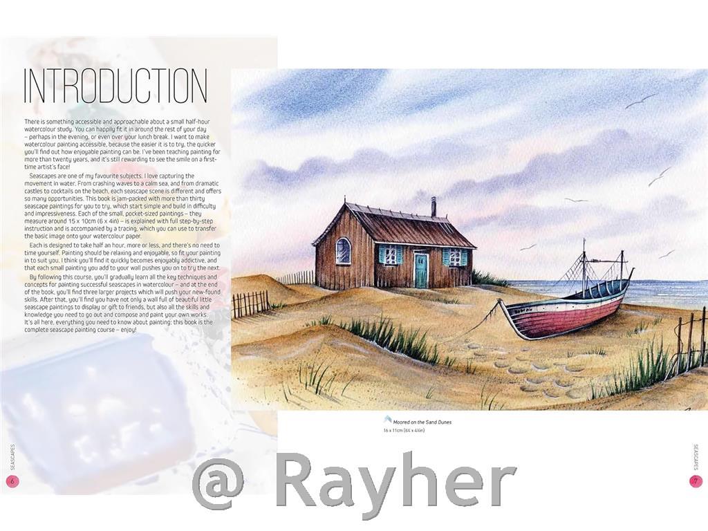 Libro Ready to Paint in 30 Minutes:Seascapes