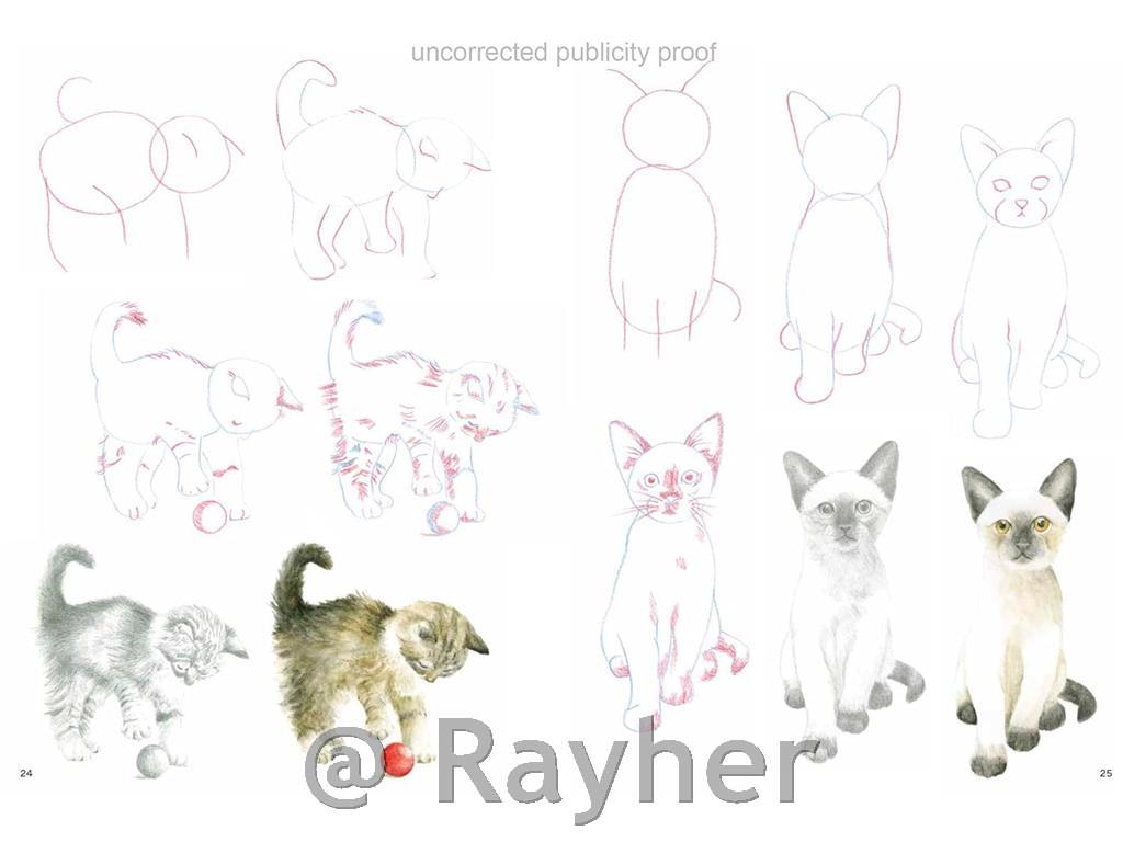 Libro How to Draw: Kittens