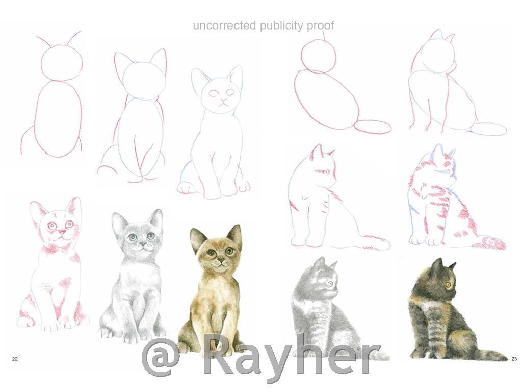 Libro How to Draw: Kittens
