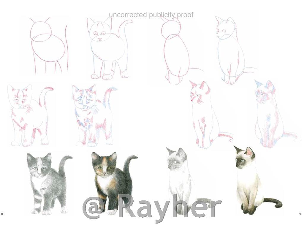 Libro How to Draw: Kittens