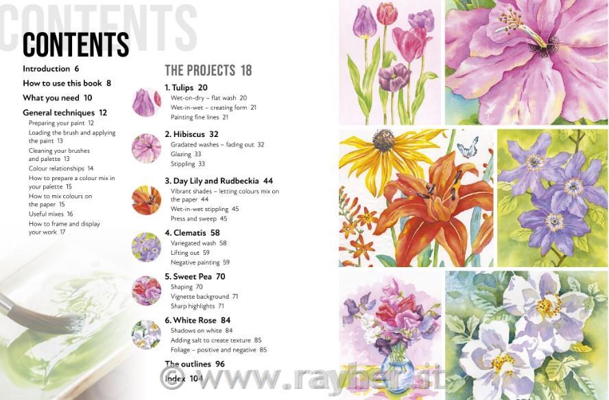 Knjiga Anyone Can Paint Watercolour Flowers