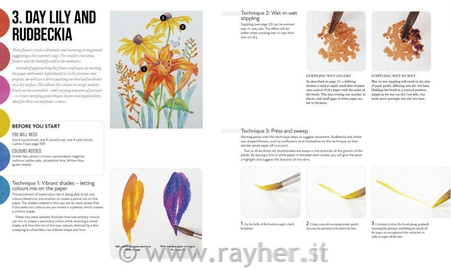 Knjiga Anyone Can Paint Watercolour Flowers