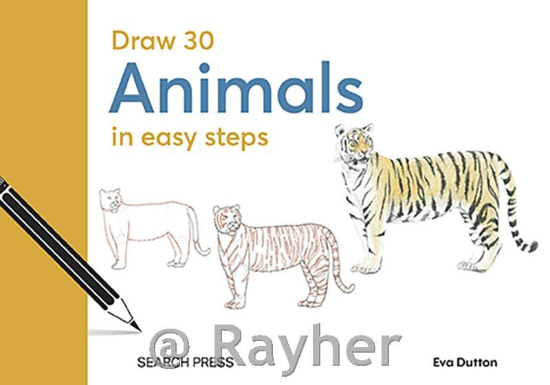 Libro Draw 30: Animals