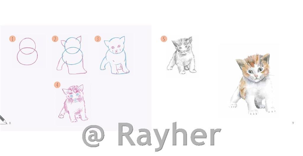 Libro Draw 30: Animals