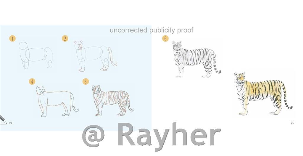 Libro Draw 30: Animals