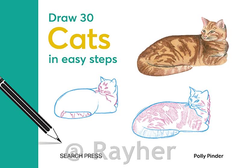 Libro Draw 30: Cats