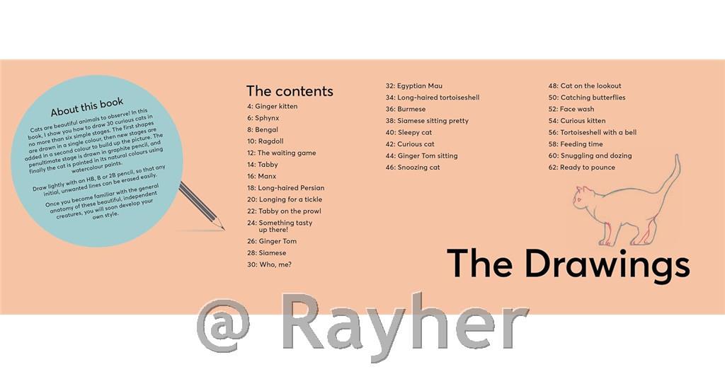 Libro Draw 30: Cats