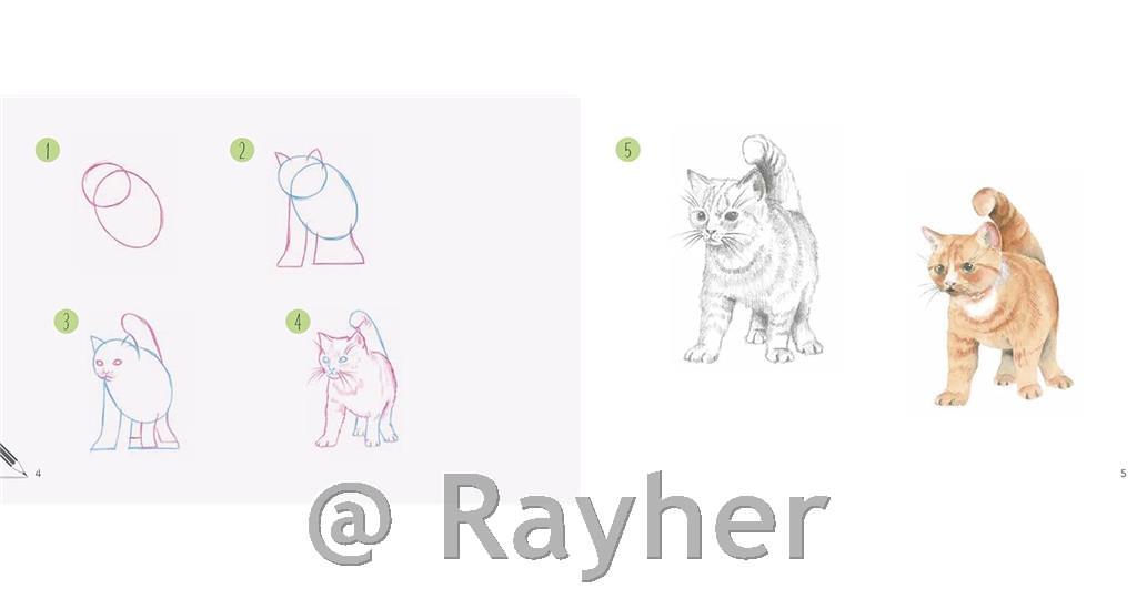 Libro Draw 30: Cats