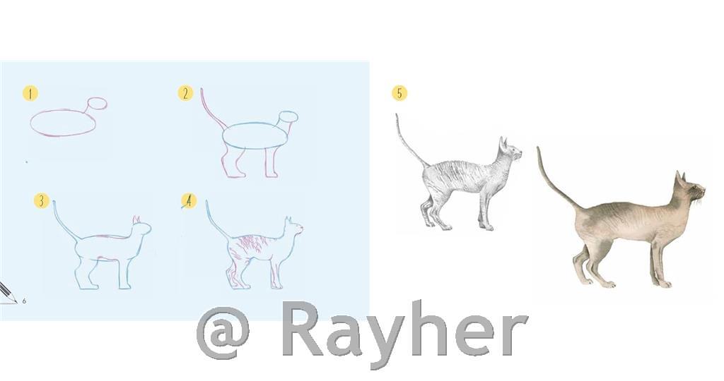 Libro Draw 30: Cats