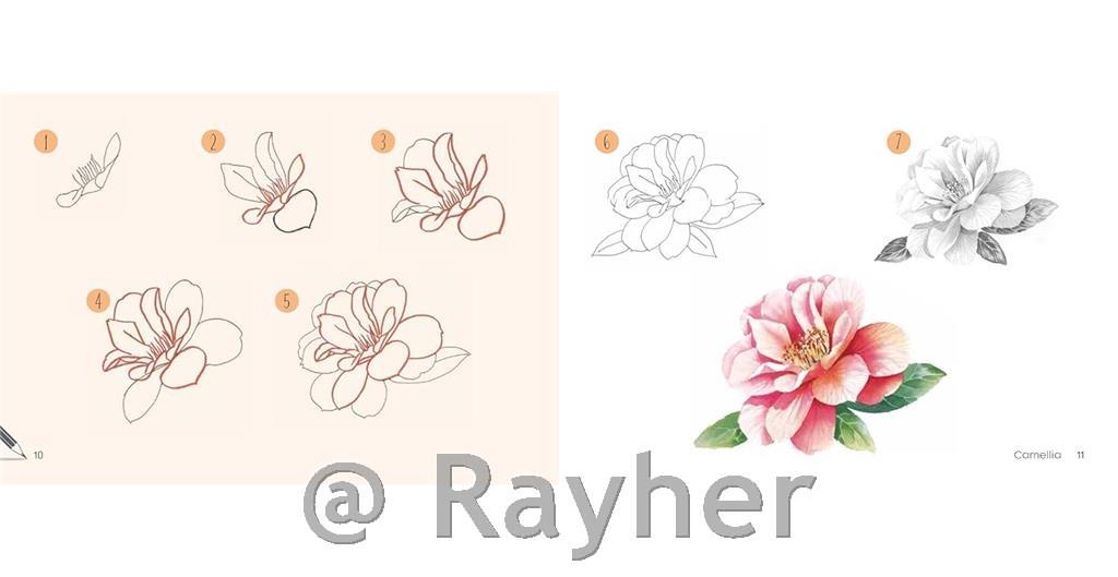 Libro Draw 30: Flowers