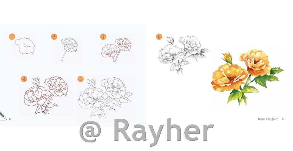 Libro Draw 30: Flowers