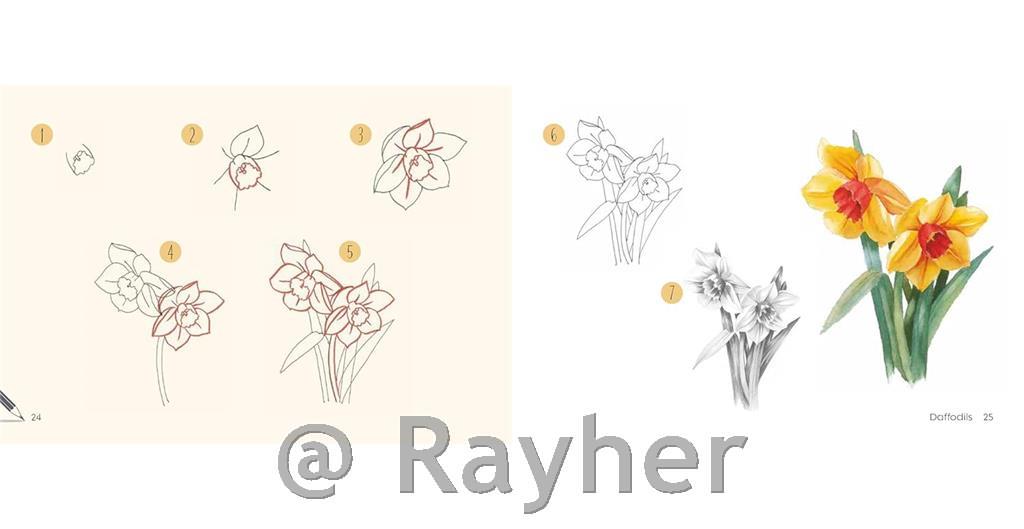 Libro Draw 30: Flowers