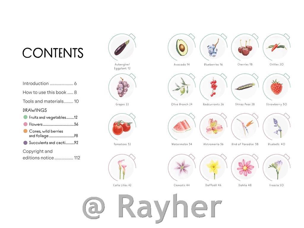 Libro Draw in 10 Minutes: Botanicals