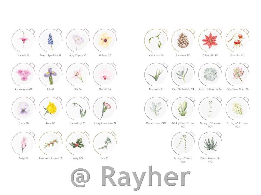 Libro Draw in 10 Minutes: Botanicals