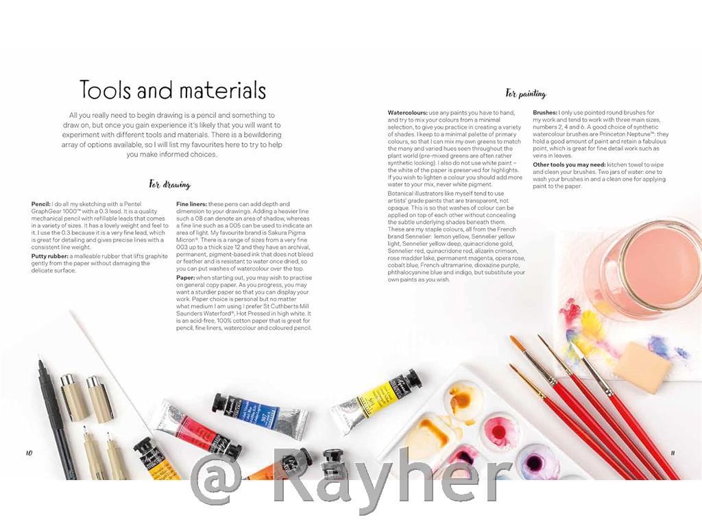 Libro Draw in 10 Minutes: Botanicals