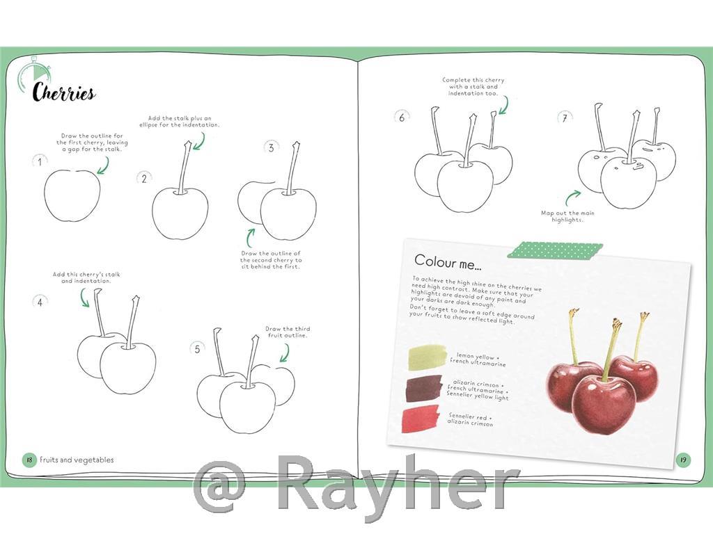 Libro Draw in 10 Minutes: Botanicals