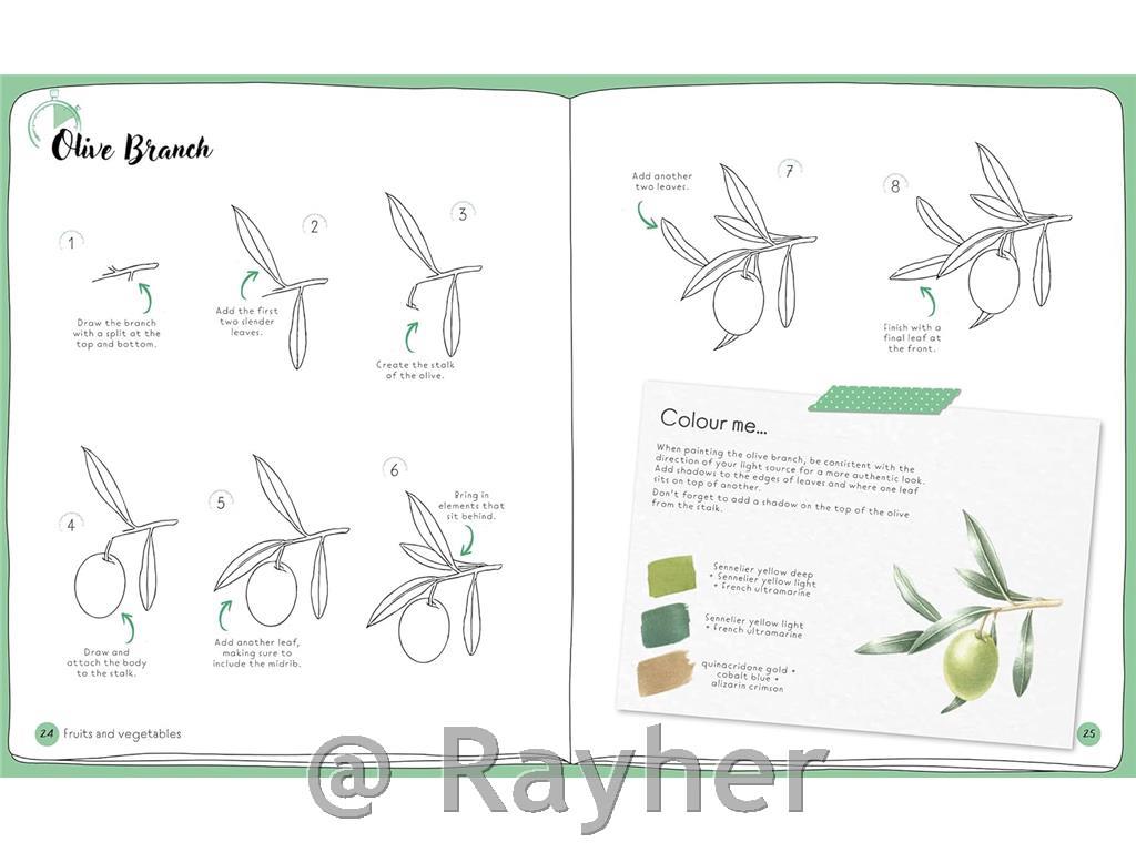 Libro Draw in 10 Minutes: Botanicals