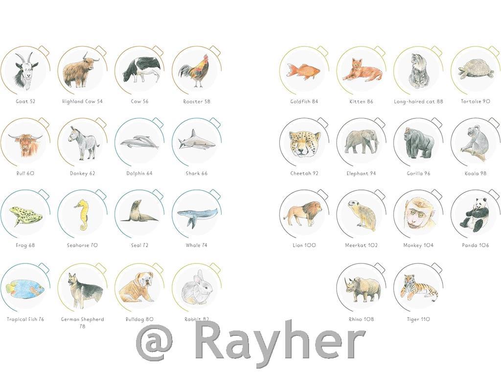 Libro Draw in 10 Minutes: Animals