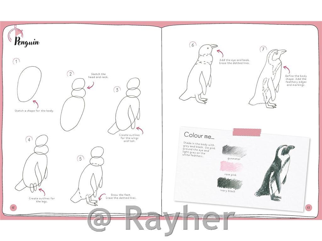 Libro Draw in 10 Minutes: Animals