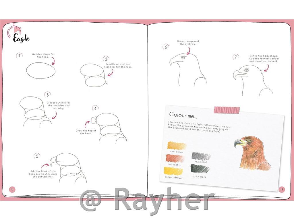 Libro Draw in 10 Minutes: Animals